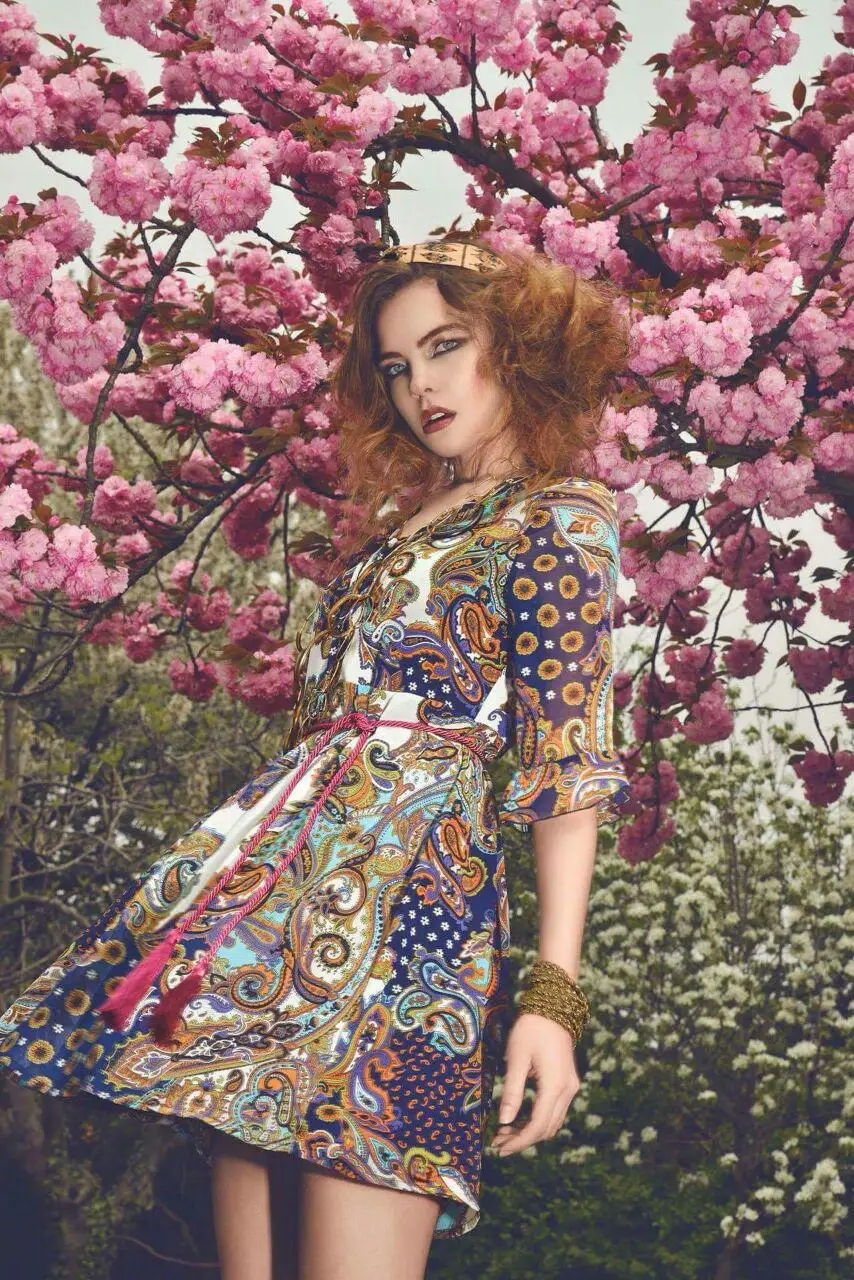 Il Viaggio di Goethe